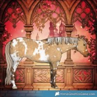 Horse Color:White Spotted Chocolate Palomino Dun Brindle 