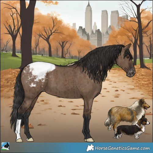 Horse Color:Liver Red Dun Appaloosa Brindle 