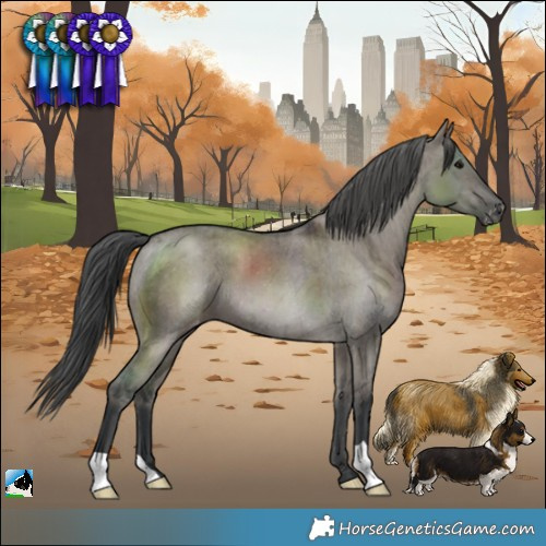 Horse Color:Grullo Varnish Brindle 