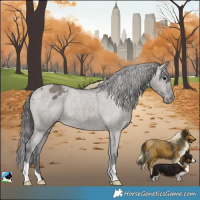 Horse Color:Grullo Varnish Brindle