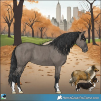 Horse Color:Grullo Appaloosa Brindle