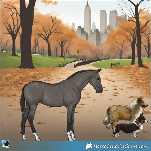 Horse Color:Grullo Brindle 
