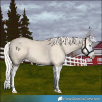 Horse Color:Silver Classic Champagne Dun Splash Frame 