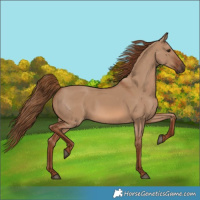Horse Color:Red Dun 