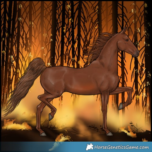 Horse Color:Chestnut 