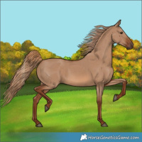 Horse Color:Red Dun 