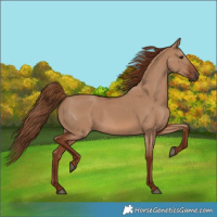 Horse Color:Red Dun