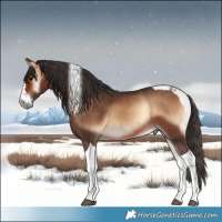 Horse Color:Bay Onyx Tobiano 