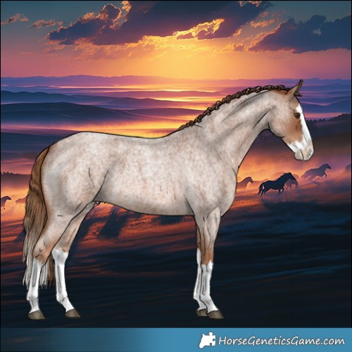 Horse Color:Red Roan Splash 