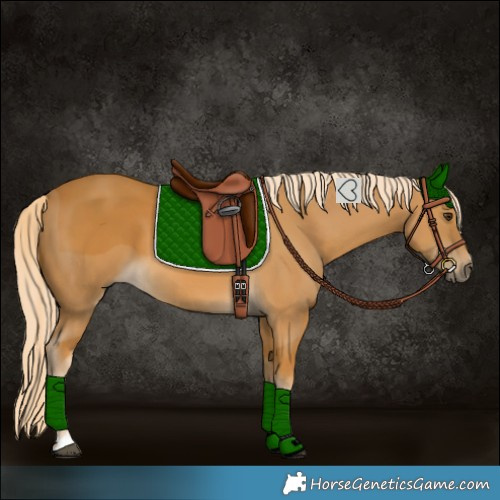 Horse Color:Palomino 
