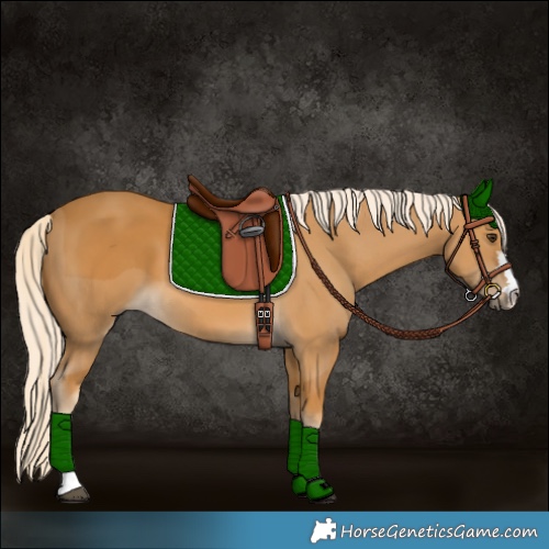 Horse Color:Palomino 