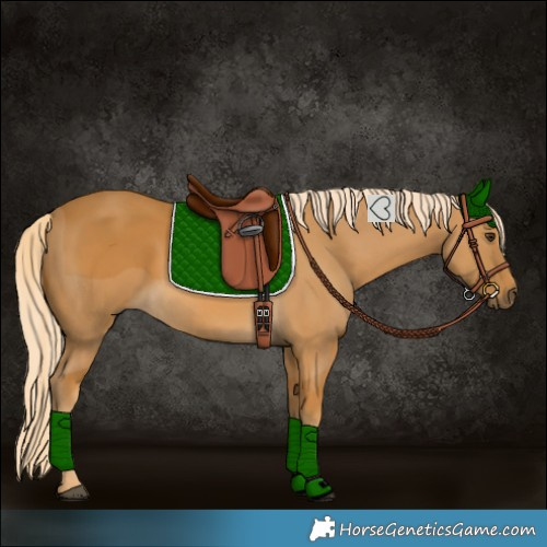 Horse Color:Palomino 