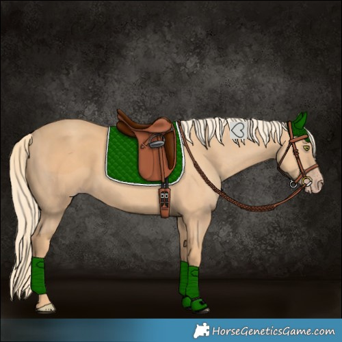 Horse Color:Gold Champagne 