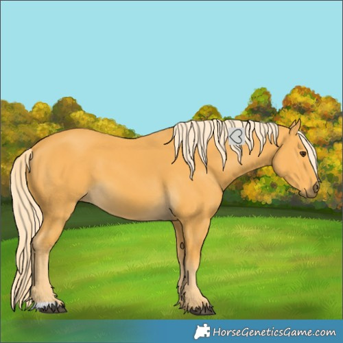 Horse Color:Palomino 