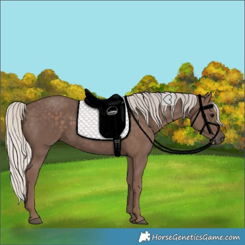Horse Color:Silver Black 