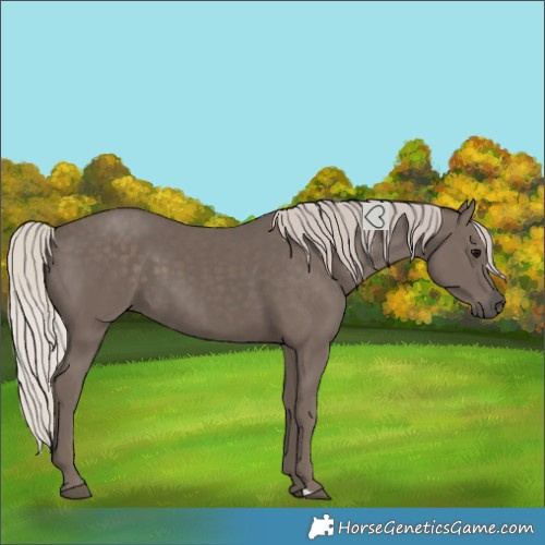 Horse Color:Silver Black 
