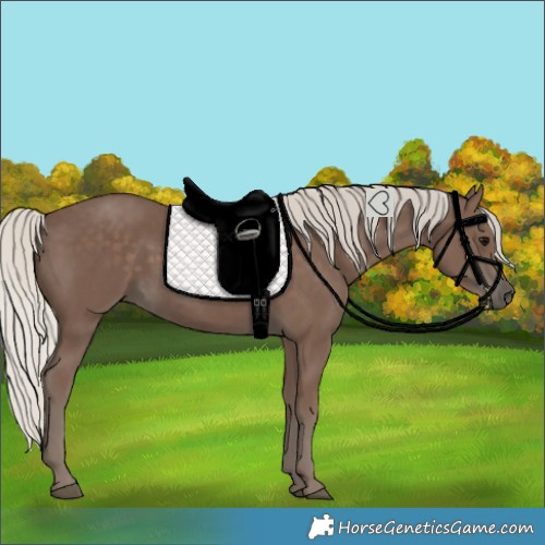 Horse Color:Silver Black 