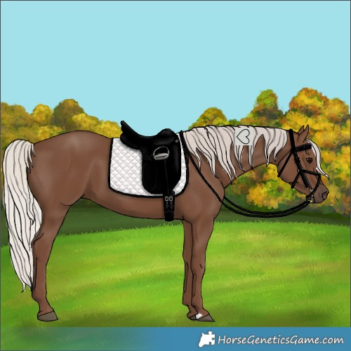 Horse Color:Silver Black 