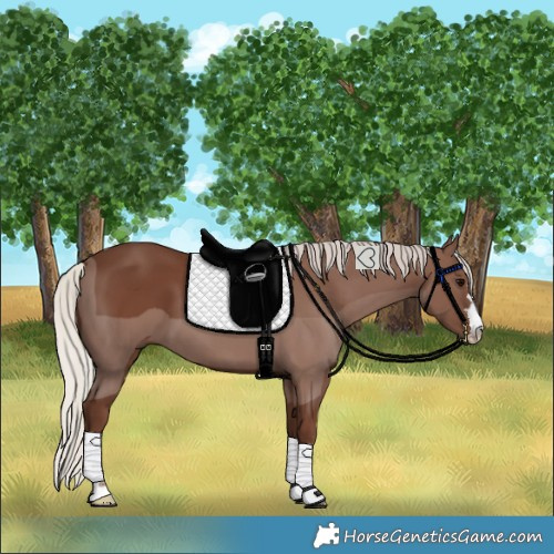 Horse Color:Silver Black 
