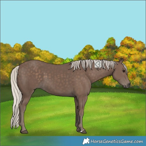 Horse Color:Silver Black 