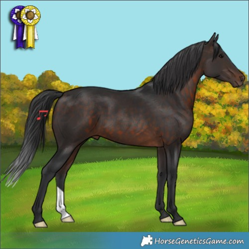Horse Color:Brown 