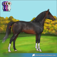 Horse Color:Brown 