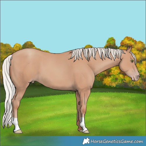 Horse Color:Silver Classic Champagne 
