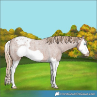 Horse Color:Red Roan Splash Frame Blanket 