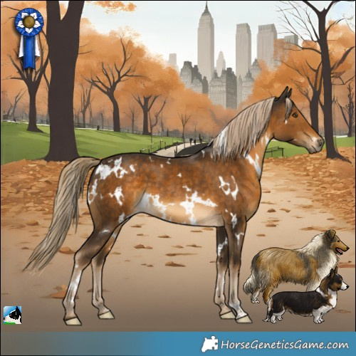 Horse Color:White Spotted Chocolate Palomino 