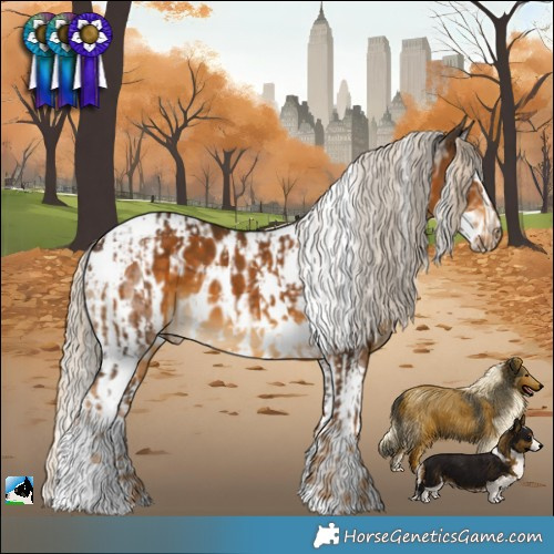 Horse Color:White Spotted Chocolate Palomino  and White Spotted Chocolate Palomino Splash Tobiano Appaloosa 