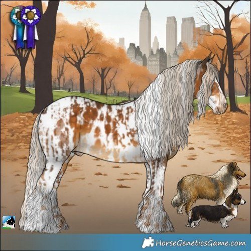 Horse Color:White Spotted Chocolate Palomino  and White Spotted Chocolate Palomino Splash Tobiano Appaloosa 