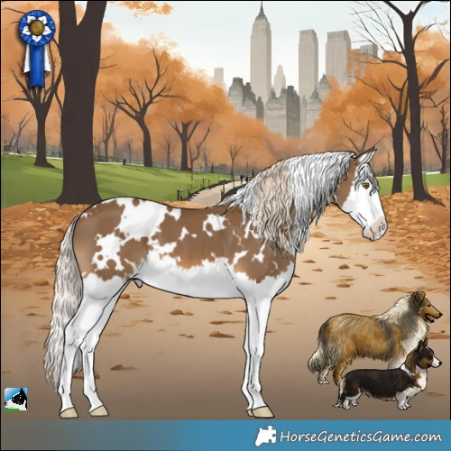 Horse Color:White Spotted Chocolate Palomino Splash 