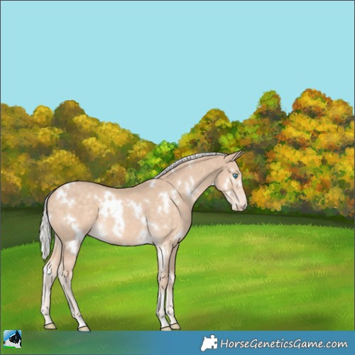 Horse Color:White Spotted Silver Perlino 