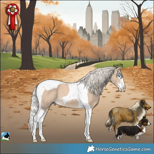 Horse Color:Cremello Splash Tobiano 