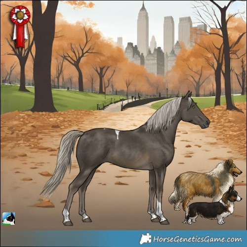 Horse Color:Silver Smoky Black Tobiano 