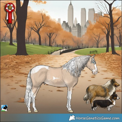 Horse Color:Cremello Splash Tobiano Rabicano 