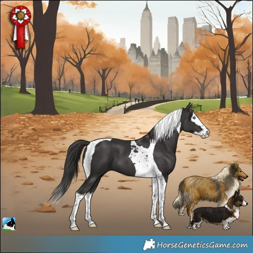 Horse Color:Smoky Black Splash Tobiano