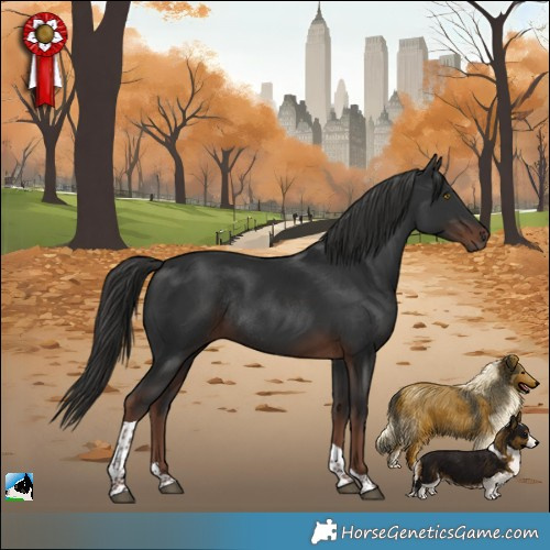 Horse Color:Liver Chestnut Tobiano Rabicano