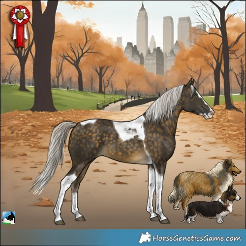 Horse Color:Silver Buckskin Splash Tobiano Rabicano 