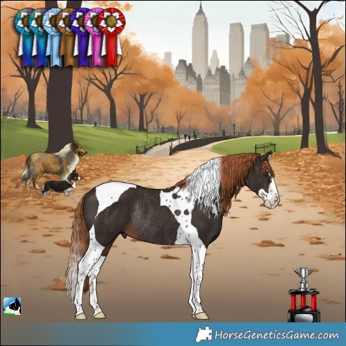 Horse Color:Liver Chestnut Splash Tobiano Rabicano 