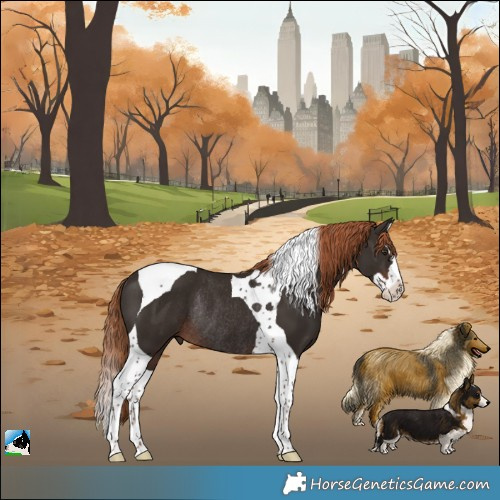 Horse Color:Liver Chestnut Splash Tobiano Rabicano