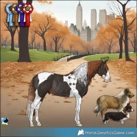Horse Color:Liver Chestnut Splash Tobiano Rabicano 