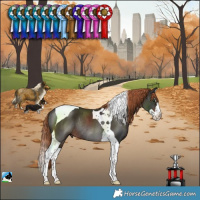 Horse Color:Liver Chestnut Splash Tobiano Rabicano 