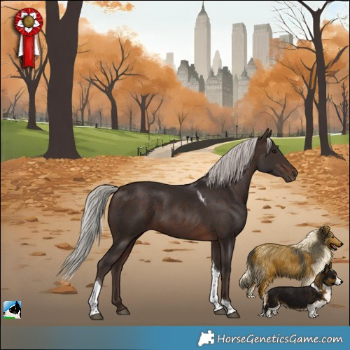 Horse Color:Silver Brown Tobiano 