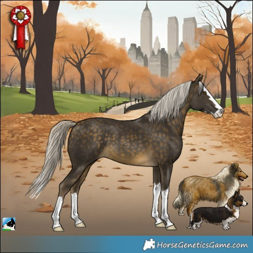 Horse Color:Silver Buckskin Splash Rabicano 