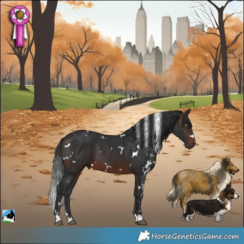 Horse Color:White Spotted Brown 