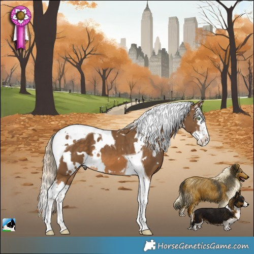 Horse Color:White Spotted Chocolate Palomino Splash Tobiano 