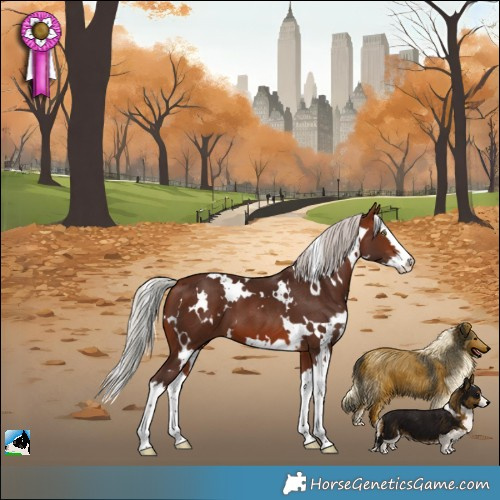 Horse Color:White Spotted Silver Brown Splash 
