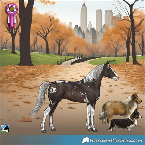 Horse Color:White Spotted Silver Brown Splash Tobiano
