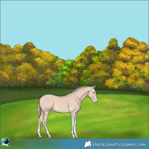 Horse Color:Perlino Tobiano 
